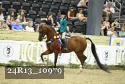24R13_10979 thumbnail