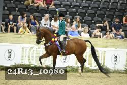 24R13_10980 thumbnail
