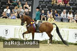 24R13_10981 thumbnail