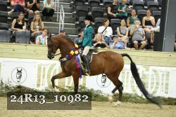 24R13_10982 thumbnail