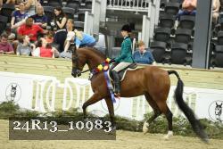 24R13_10983 thumbnail
