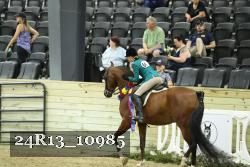 24R13_10985 thumbnail