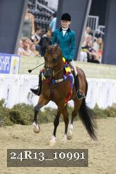 24R13_10991 thumbnail