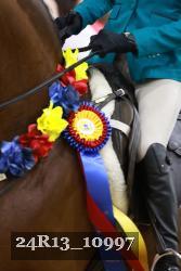 24R13_10997 thumbnail