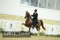 24R13_11000 thumbnail
