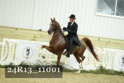 24R13_11001 thumbnail