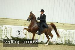 24R13_11002 thumbnail