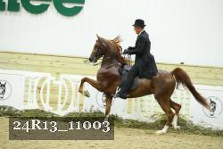24R13_11003 thumbnail
