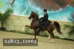 24R13_11005 thumbnail