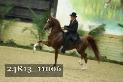 24R13_11006 thumbnail