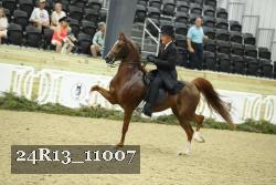 24R13_11007 thumbnail