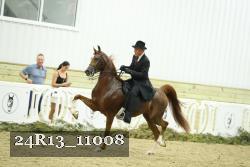 24R13_11008 thumbnail