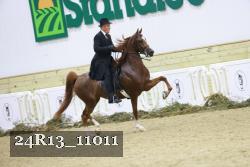 24R13_11011 thumbnail