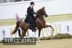 24R13_11012 thumbnail