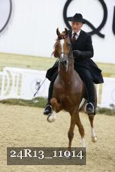 24R13_11014 thumbnail