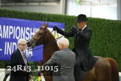 24R13_11015 thumbnail