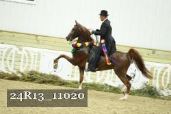 24R13_11020 thumbnail
