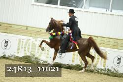 24R13_11021 thumbnail