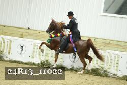 24R13_11022 thumbnail