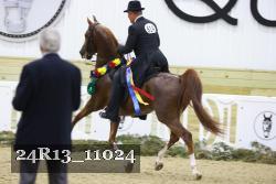 24R13_11024 thumbnail