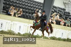 24R13_11025 thumbnail