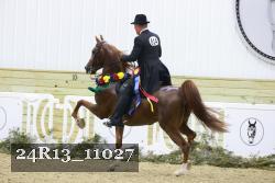 24R13_11027 thumbnail