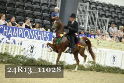 24R13_11028 thumbnail