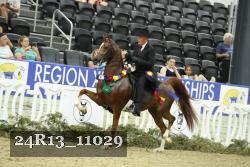 24R13_11029 thumbnail