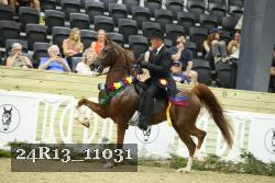 24R13_11031 thumbnail
