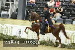 24R13_11033 thumbnail