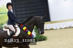 24R13_11102 thumbnail