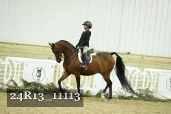 24R13_11113 thumbnail
