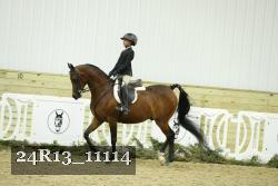 24R13_11114 thumbnail