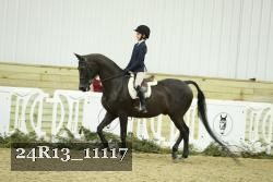 24R13_11117 thumbnail