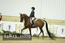 24R13_11119 thumbnail