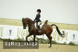 24R13_11122 thumbnail