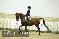 24R13_11123 thumbnail