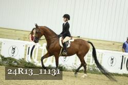 24R13_11131 thumbnail