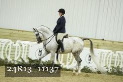 24R13_11137 thumbnail