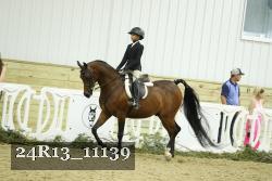 24R13_11139 thumbnail