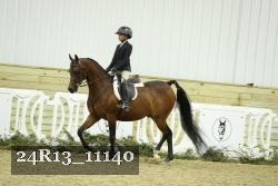 24R13_11140 thumbnail