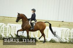 24R13_11144 thumbnail