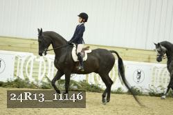 24R13_11146 thumbnail