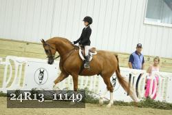 24R13_11149 thumbnail