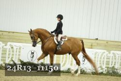 24R13_11150 thumbnail