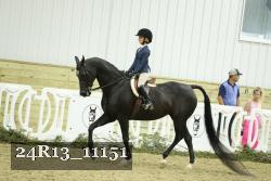24R13_11151 thumbnail