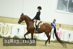 24R13_11152 thumbnail