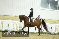 24R13_11157 thumbnail