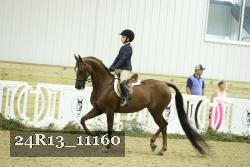 24R13_11160 thumbnail