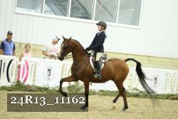24R13_11162 thumbnail